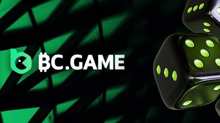 Exploring the World of BC.Game Crypto Casino A New Era of Online Gaming